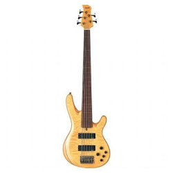 Bass Gitar