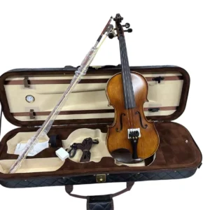 Swing SV544 Profesyonel Keman